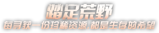 游戏特色