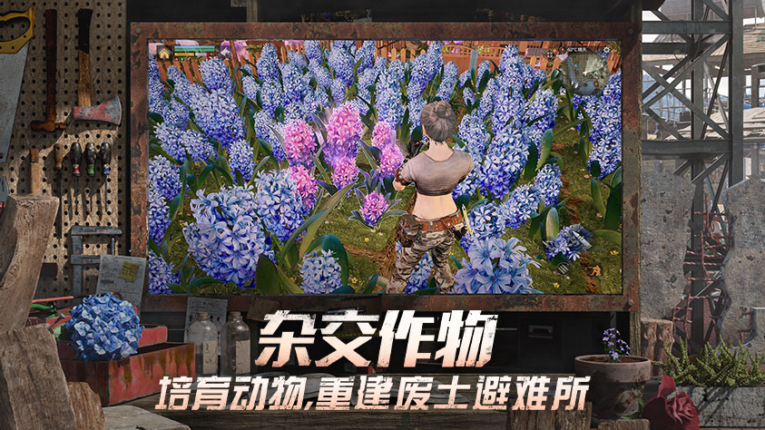 游戏特色